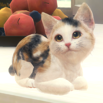 宠物养成模拟游戏《with My CAT》将于 4 月 5 日推出 体验养育幼猫的生活